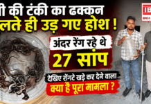 27 Snakes Found in Water Tank : पानी की टंकी का ढक्कन खुलते ही उड़ गए होश ! अंदर रेंग रहे थे 27 सांप, देखिए रोंगटे खड़े कर देने वाला क्या है पूरा मामला ? 27 Snakes Found in Water Tank