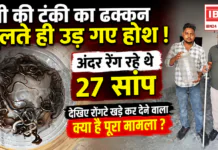 27 Snakes Found in Water Tank : पानी की टंकी का ढक्कन खुलते ही उड़ गए होश ! अंदर रेंग रहे थे 27 सांप, देखिए रोंगटे खड़े कर देने वाला क्या है पूरा मामला ? 27 Snakes Found in Water Tank