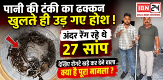 27 Snakes Found in Water Tank : पानी की टंकी का ढक्कन खुलते ही उड़ गए होश ! अंदर रेंग रहे थे 27 सांप, देखिए रोंगटे खड़े कर देने वाला क्या है पूरा मामला ? 27 Snakes Found in Water Tank