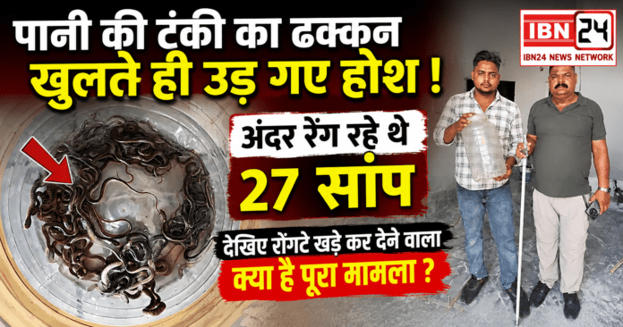 27 Snakes Found in Water Tank 27 Snakes Found in Water Tank