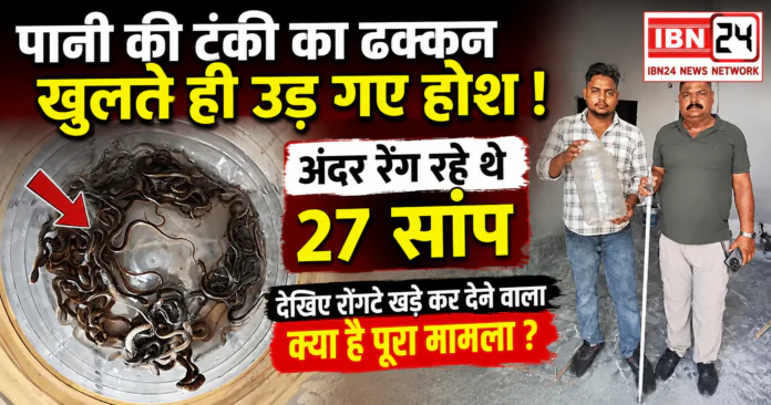 27 Snakes Found in Water Tank