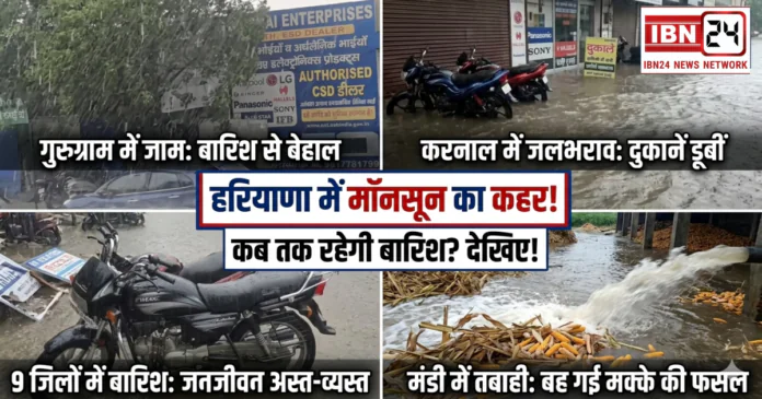 Haryana Rain News