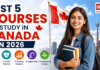 Best 5 Courses to Study in Canada : High-Demand Programs for International Students Best 5 Courses to Study in Canada