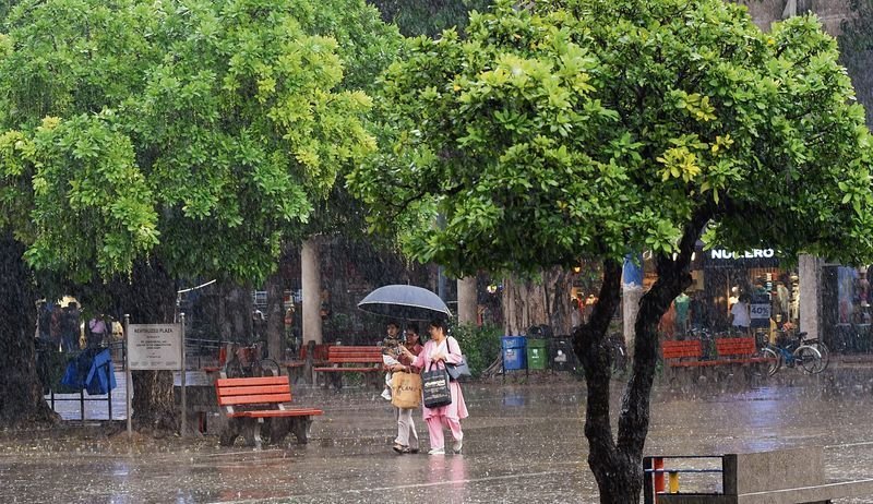 Haryana Rain News