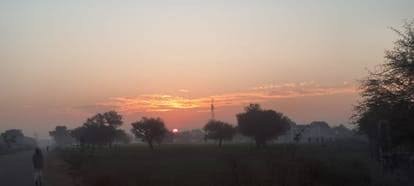 Haryana Rain News