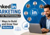 LinkedIn Marketing Tips for Professionals : 5 Ways to Build and Grow Your Network LinkedIn Marketing Tips for Professionals