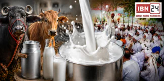 Milk Prices Increased in Haryana : दूध-दही के शौकीन हरियाणवियों की बढ़ेगी जेब पर मार, सिरसा में भी दूध के दाम बढ़ाने का ऐलान, भैंस का ₹100 तो गाय का ₹80 प्रति लीटर, कम कीमत में बेचने पर ₹5,100 जुर्माना, क्या आपके शहर में भी बढ़ा भाव ? Milk Prices Increased in Haryana