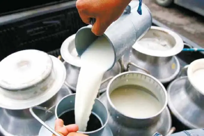 Haryana Milk Supply
