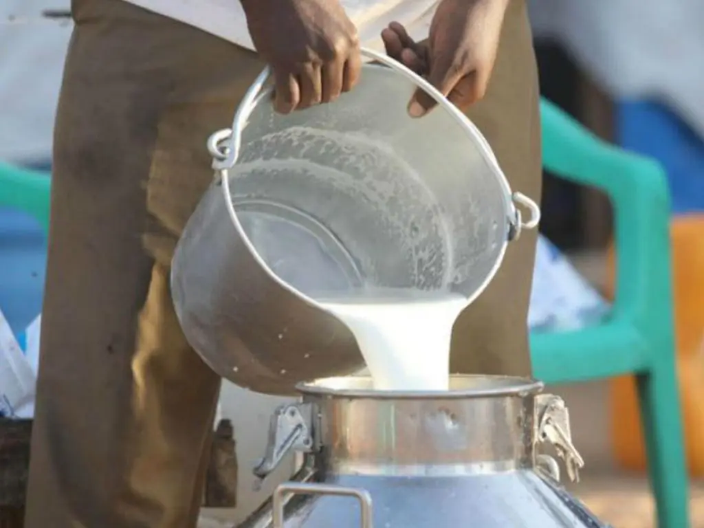 Haryana Milk Supply