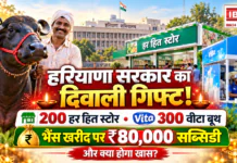 Poor Farmers Buffalo Purchase Scheme : हरियाणा सरकार का दिवाली से पहले बड़ा तोहफा ! एक नवंबर तक खुलेंगे 200 नए हर हित स्टोर और 300 वीटा बूथ, भैंस खरीदने पर मिलेगी ₹80,000 सब्सिडी, जानिए और क्या होगा खास ? Poor Farmers Buffalo Purchase Scheme