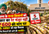 Haryana Sugarcane Price Protest : हरियाणा के गन्ना किसानों को सरकार का रेट मंजूर नहीं, ₹600 की मांग पर 5 नवंबर को बड़ा फैसला, जानिए किसानों की आगे की रणनीति ! Haryana Sugarcane Price Protest