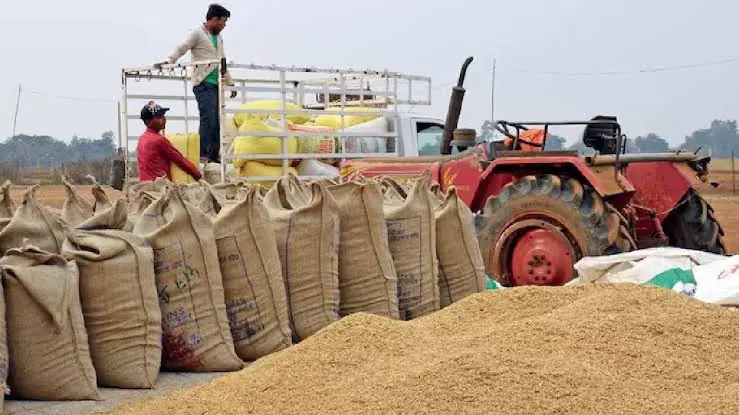 Haryana Paddy Procurement
